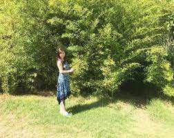 cathy cheng on twitter lily pulitzer dress fashion lily pulitzer