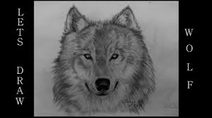 How to draw wolf step by step. Lets Draw A White Wolf Wolf Tutorial Youtube