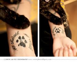 There is no better way to celebrate your furry friend than with a tattoo of their adorable paw prints! 55 Very Unique Dog Tattoos Which Will Impress You In A Jiffy Picsmine
