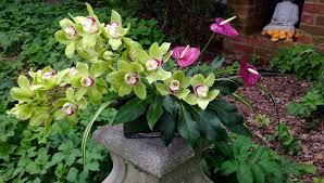 Steak house > vegetarian/vegan > events. Guilford White House Florist Home Facebook