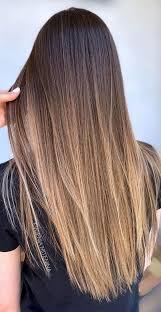 25 Ombre Hair Color Ideas For Brunettes Top Hair Color Trends For 2021 In 2021 Balayage Straight Hair Ombre Hair Color For Brunettes Brunette Hair Color