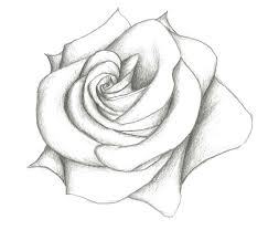 We did not find results for: 33 Lovely Art Sketches Easy Simple Drawings Ideas Prekhome Pencil Sketches Easy Pencil Drawings Of Flowers Flower Sketches