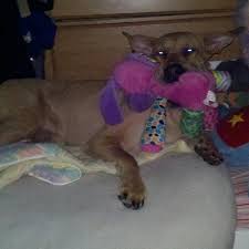 kimberly hubert (@khubert143)