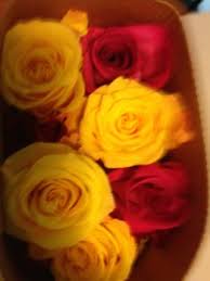 What is special about the bouqs is the fact that they own the flower farm!! Bouqs Review Shark Tank Blog