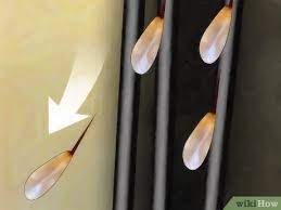 You may pick out the remaining ones with a nit comb. How To Treat Head Lice With Vinegar 8 Steps With Pictures