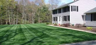 Can you hydroseed your own lawn. Hydro Seeding Professional In Rhode Island Always Green Hydroseeding Inc Coventry Ri