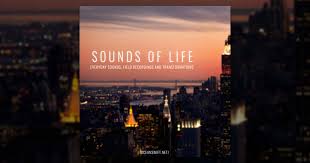 Natural sound of rain storm. Sounds Of Life Ocean Swift Synthesis Free Sample Packs