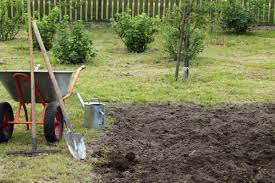 Maybe you would like to learn more about one of these? 12 Tomato Growth Hacks For A High Yield Harvest Gardening
