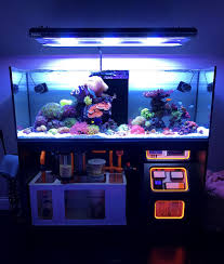 Fts 1 1 2019 Marine Fish Tanks Saltwater Fish Tanks Saltwater Aquarium Fish