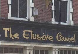 What a boy wants for christmas. Short Funny Christmas Stories Funny Jokes