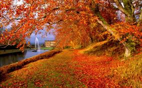 We did not find results for: Fall Pictures For Wallpapers 70 Background Pictures