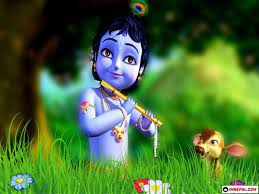 Pin On Krishna Party
