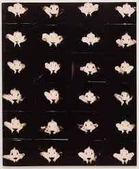 Barbara Ess: I Am Not This Body