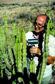 Any of many types of desert plant usually with sharp spines and thick stems for storing water 2…. From Horse Thief To Professor Confessions Of A Plant Physiologist Springerlink