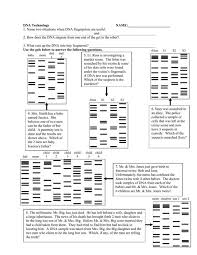 They will use this fingerprint to solve a virtual crime. Dna Fingerprinting And Paternity Answer Key Dna Fingerprinting Analysis Worksheets 2011 Edited Jl Docx Dna Profiling Also Called Dna Fingerprinting Is The Process Of Determining An Individual S Dna Characteristics Fariz Mulyono