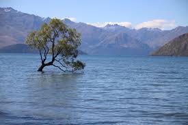 Simontok is the best video player application. Lake Wanaka A Okoli