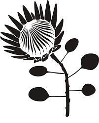 Stencil Drawing Stencils Window Film Designs Silhouette Stencil