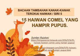 7 hewan yang sudah punah di indonesia ini memang hanya tinggal sejarah. 15 Haiwan Yang Paling Comel Flip Ebook Pages 1 17 Anyflip Anyflip