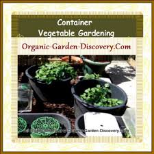 The basics of organic gardening. Home Vegetable Garden Guide