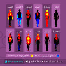 شكل توضيحي صور حرارية توضح أثر تغي ر المشاعر على نشاط جسم الإنسان image poster movie posters