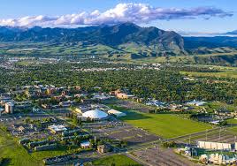 MSU names fall honor roll awards