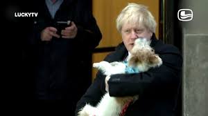 Contact us at sales@1luckytv.com to get a free 3 day trial of our tv service. Luckytv On Twitter Pick Up The Dog Luckytv Https T Co Stfnc05fiu Luckytv Borisjohnson