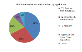 Global Gas Membrane Market Is On Brink Of Rapid Expansion And Is Forecast To Generate 2 7 Billion By 2025 Membrane Gas Industry How To Remove