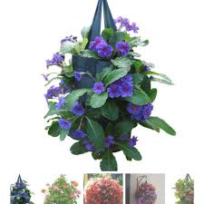 Membuat taman gantung depan rumah tidak memerlukan lahan, sebab anda bisa membuatnya di teras rumah anda, seperti inspirasi desain taman bunga gantung di atas. Jual Flower Tube12 Lubang Pot Gantung Planter Bag Aneka Bunga Easy Grow 3 Pcs Terbaru Juli 2021 Blibli