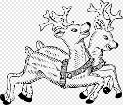 Dihalaman ini anda akan melihat gambar kartun lucu hitam putih yang menarik! Sinterklas Natal Hitam Dan Putih Rusa Mamalia Bertulang Belakang Satu Warna Png Pngwing