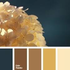 Shades of dark blue and brown shade. Colour Palette Ochre Brown Peach And Navy Brown Color Palette Green Colour Palette Trendy Kitchen Colors