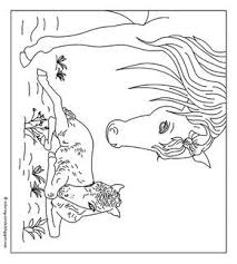 Paarden Kleurplaat Horse Coloring Pages Horse Coloring Coloring Pages
