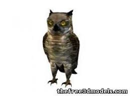 Owl 3d Model 3ds Obj Max Lwo Mtl 3dm Owl 3d Model Model