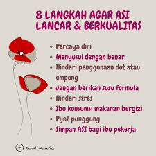 Kementerian Kesehatan RI - Lakukan 8 Hal Ini Agar ASI Lancar dan  Berkualitas ASI merupakan makanan terbaik bagi bayi yang harusnya tak  tergantikan selama 6 bulan pertama kelahiran bayi. ASI menjadi antibodi