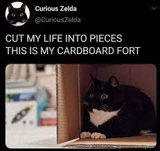 Cut My Life Into Pieces This Is My Cardboard Fort