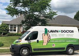 There are no major problems. Local Lawn Care Services Lawn Doctor Of Strongsville Stow