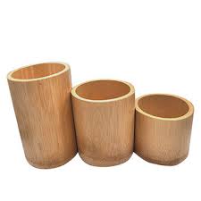 Potted bamboo has only advantages, but some important points must be studied to be successful! Bamboo Plant Pots Global Sources