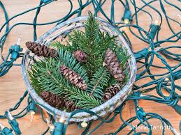 Where To Buy Fresh Herbs Online Evergreen Herbs Buy Herbs Herbs