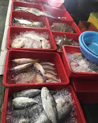 Juara ikan bakar kubang kerian; Juara Ikan Bakar Perupok Startseite Kota Bharu Speisekarte Preise Restaurant Bewertungen Facebook