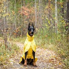 New Yellow Raincoat Toddler Raincoat Raincoat Kids Yellow Raincoat