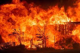 O primeiro exemplo ocorre quando fazendeiros criadores de gado ateiam fogo nas áreas de pastagem que já foram desmatadas. Mudancas Climaticas Propiciam Incendios Florestais Natureza G1