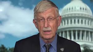 NIH Director Collins: Sen. Graham's case helps, not undermines, argument to  get vaccinated
