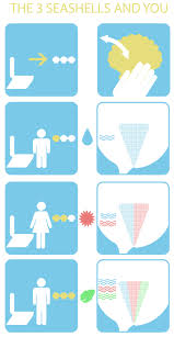 The 3 Seashells By Hugeackman On Deviantart