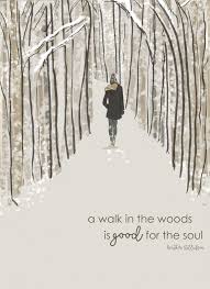 A Walk In The Woods Heather Stillufsen Walk In The Woods Nature Quotes