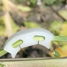 Brave Tour प्लांट बेंडर, कम तनाव प्रशिक्षण के लिए प्लांट ट्रेनिंग, शाखाएं  बेंडर झुकने क्लिप्स प्लांट सपोर्ट क्लिप्स टहनी क्लैंप, पौधों की ...