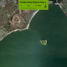 Charles Island