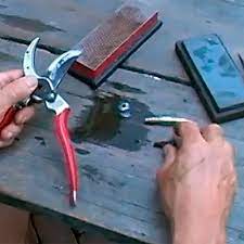 Rub the blades with coarse steel wool and rid the sanding dust with a rag. How To Sharpen Pruners Finegardening
