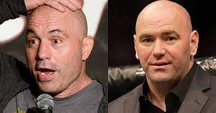 It was in the context of dana white asking about roasting fighters, like he wanted to do a thing for fight pass. Joe Rogan Says Dana White Might Have Brain Damage