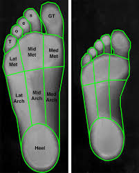 Транскрипция и произношение слова foot в британском и американском вариантах. Foot Sole Area Measurement The Surface Areas Of 9 Different Individual Download Scientific Diagram