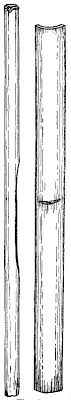 Fire safetyfire safety incorporating the hazards, risks and controlincorporating the hazards, risks and control measuresmeasures prepared by dr. Fire Making Apparatus In The U S National Museum By Walter Hough A Project Gutenberg Ebook