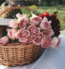 Kedai kami menjual dan membeli emas dengan harga yang terabit untuk anda. Taipan Florist